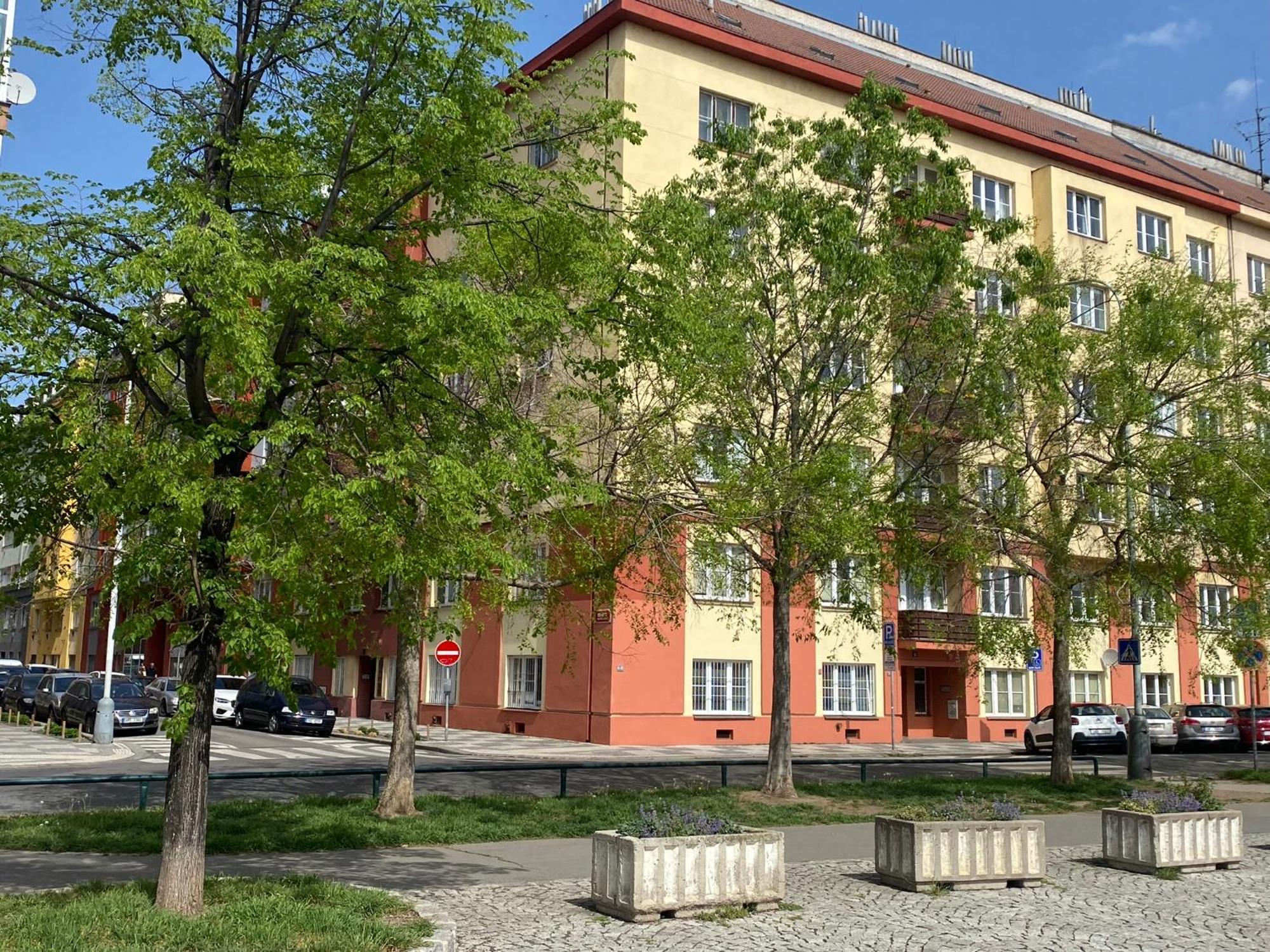 Ubytovanie v rodine Tulip